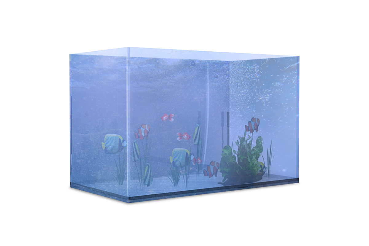 Large Aquarium in white background