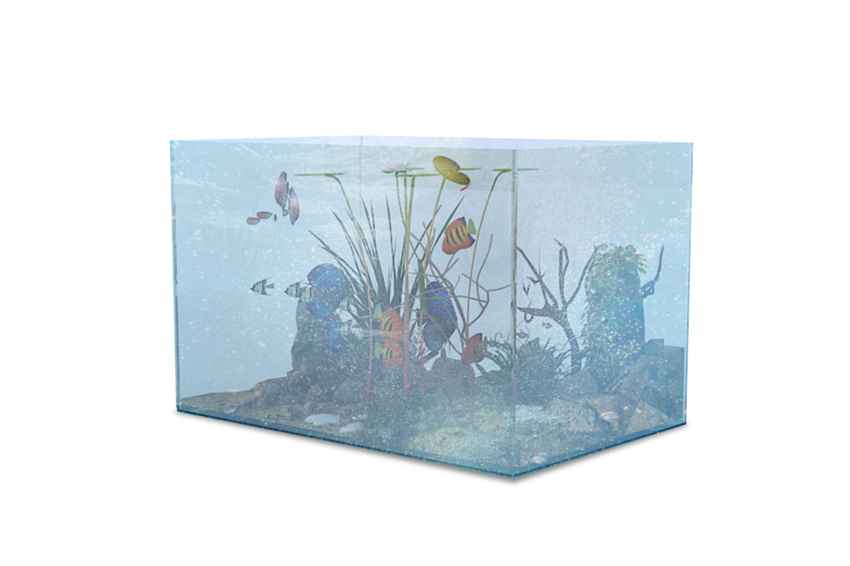 Fish Tank Medium in White Background